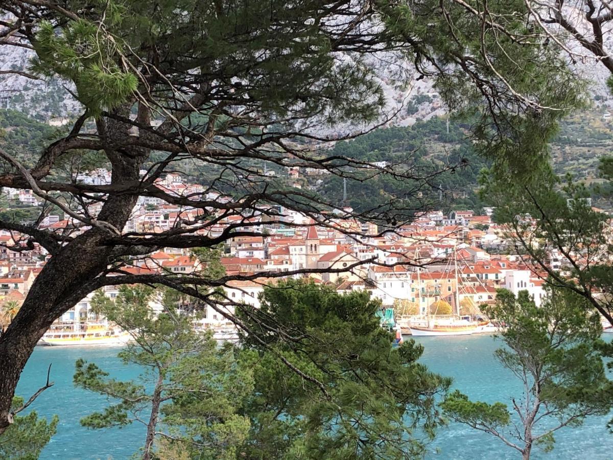 Apartments Drago Makarska Exterior foto